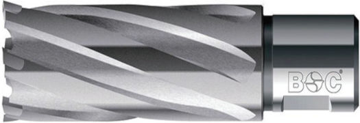 Hm Flat Carrot Weldon Shank 3/4'' Length 55 Mm Diameter 24.0