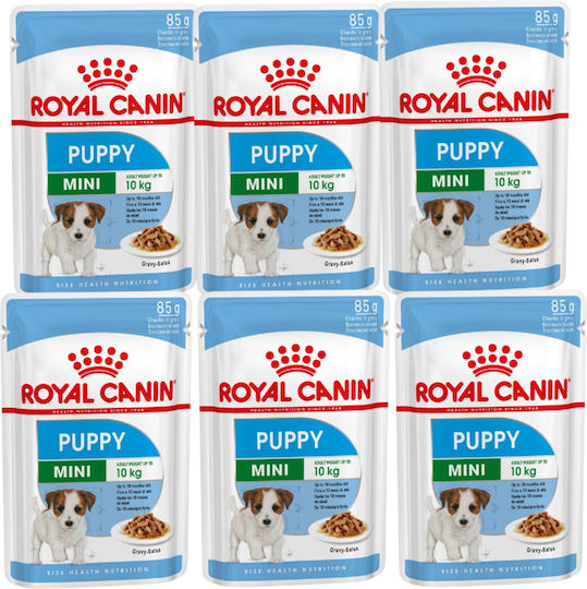 Royal Canin Puppy Wet Food for Puppies with Meat 6x85gr