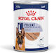 Royal Canin Maxi Nassfutter Hunde Diät 12x410gr