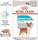 Royal Canin Urinary Care Wet Dog Food with Meat 12x85g