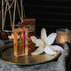 Musk Collection Oriental Night