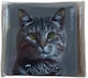 Action Lab Magnet Tiger Cat Grey