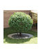 vidaXL Topf Metallisch Grey