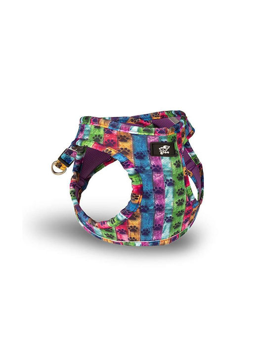 Glee Hundegeschirr Typ "step In" Paw Garden Kleines 32-36cm