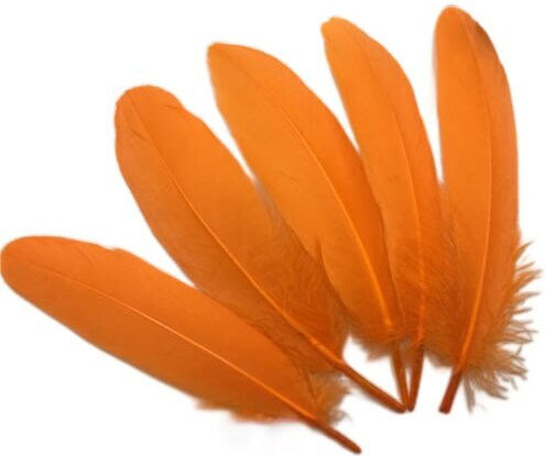 Decorative Orange Feathers 15-20cm 8 Pieces 28-03