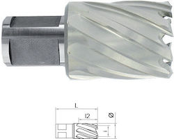 HSS Weldon Shank Carrot 3/4'' Lungime 30 Mm Diametru 50.0