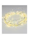 800 Lights LED Warm White in String 1pcs