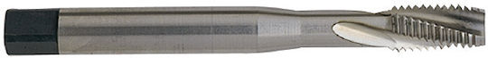 9602031 Lange Maschinengewindebohrer Normal Feingewinde Din 371 Hss-e Co 5% Form C Dim M 6
