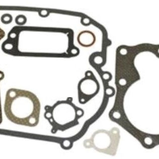 Set Garnituri Motor Briggs Stratton Seria 590508 794307 497316