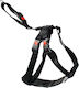 Flamingo Seatbelt Car for Dog Black