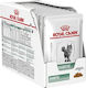 Royal Canin Diabetic Wet Food for Adult Cats in Pouches with Meat 12x85gr