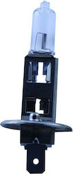 Carman Lamps H1 Halogen White 2pcs