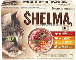 Shelma Wet Food 12x85gr