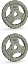Комплект Метални Дискове За Тежести 2 x 1.25kg с Тегла За Силови Тренировки Комплект Метални Дискове За Тежести 2 x 1.25kg с Тегла За Силови Тренировки