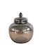 Karvounis General Use Glass Jar with Lid Transparent 19x19x21.5cm 1 Pieces