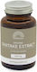 Mattisson Shiitake Extract 400мг 60 капси