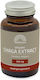 Mattisson Chaga Extract 350мг 60 капси