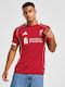 Liverpool Fc 25/26 Jersey Style Football