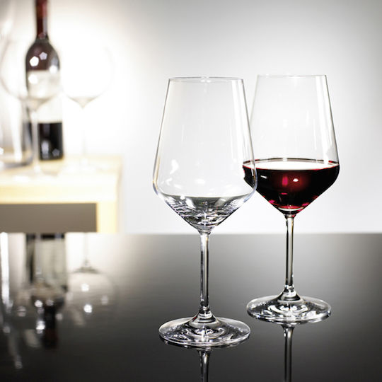 Rastal Harmony Red Wine Set 2τμχ 41cl