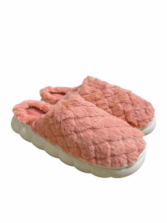 TnS
