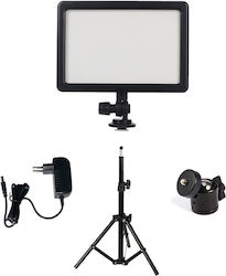 Visico F-03074 25W Video Light Visico F-03074 25W Video Light