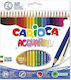 Carioca Ξυλομπογιές Σετ 24 χρώματα (6 Συσκευασίες)