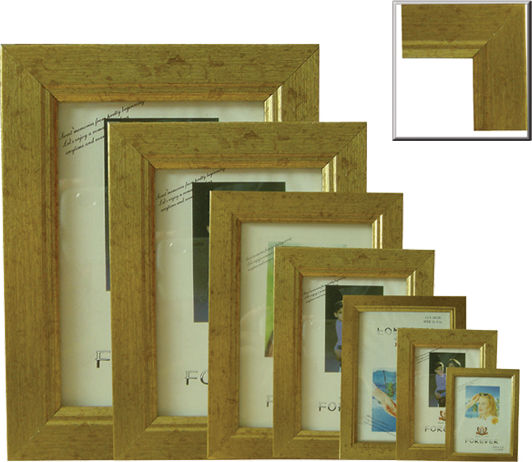 AGC AGC Kunststoff Fotorahmen mit Goldrahmen