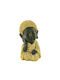 InTheBox Διακοσμητικός Βούδας Πολυρητίνης Baby Buddha 2 12x10x17cm