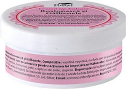 Dorel Plant Κρέμα Σώματος 65ml
