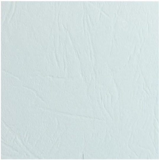 Hârtie Carton A4 Piele 250gr 1 Foaie Albă 5370104