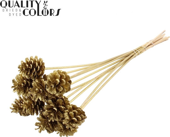 Con De Pin Auriu Glitter 1 Bucată Uscat