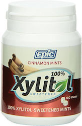 Epic Xylitol 108gr