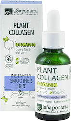 La Saponaria Gesicht Serum La Saponaria Gesicht Serum
