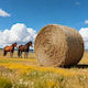 Vevor Nets for Hay 180x180x180cm