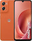 Motorola Moto G06 Dual SIM (8/256GB) Арабеск
