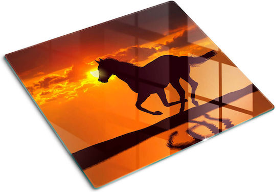 Glass Kitchen Counter Protection Board Tempered Glass Sun Horse 60x52 Cm