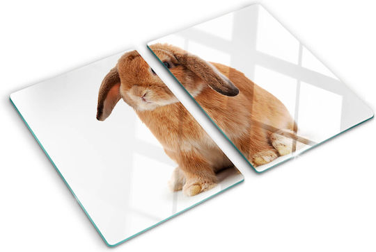 Küchenarbeitsplattenabdeckung Glas Roter Hase 2x40x52 cm