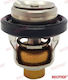 Termostat Rec17670-93962