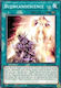 Bujincandescence Konami Sammlerkartenspiele