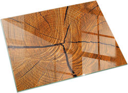 Kaminzubehör und -teile Tulup Stand Geschliffenes Glas Vorne Kamin Holzstücke Querschnitt 60x40 cm