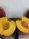 Δέντρο Ροδακινο Royal Peach