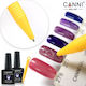 Canni Stilou Magnetic Cateye