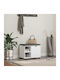 Mobilier de Intrare cu Bancă Alb 60x38x46cm