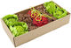 Oxbow Λιχουδιά-παιχνίδι Τρωκτικών Enriched Life Garden Dig Box