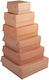 Kraft Aluminum Salted Box 10 Kilos No 15
