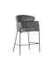Hocker Bar Metall Tolerse Light Gray 2Stück 55x60x97cm