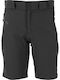 Men's Shorts Asphalt