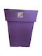 Viomes Ghiveci Purple 33x33x42cm.