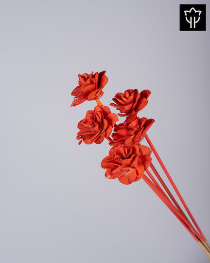 Beetal Rose Κοραλί 1τμχ 55cm