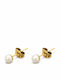 Nire Σκουλαρίκια Καρφωτά με Πέρλες